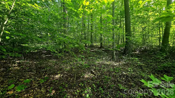 Lot 11 Elk Creek Mountain Pkwy #11, Todd, NC 28684