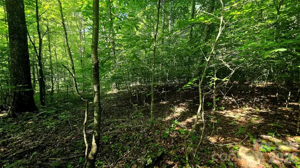 Lot 11 Elk Creek Mountain Pkwy #11, Todd, NC 28684