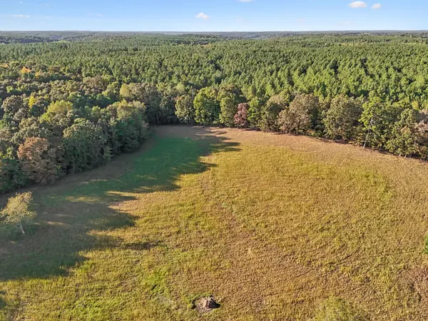 1116 Piney Rd, Cypress Inn, TN 38452