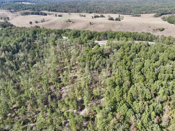 000 County Road 306, Van Buren, MO 63965