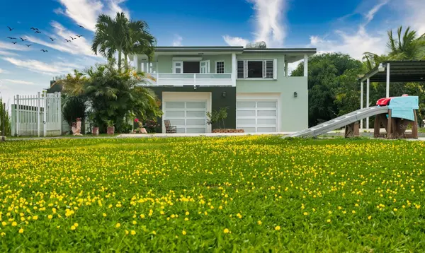 PR 797 Km 4.3 LOT 2 JAGUEYES WARD, Aguas Buenas, PR 00703
