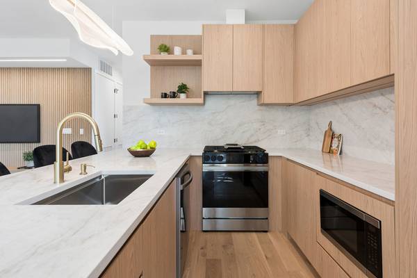 1656 N BOSWORTH AVE #2N, Chicago, IL 60642
