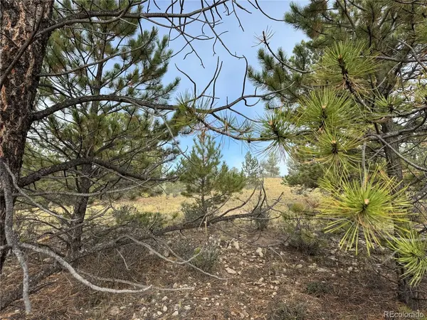 155 Whip, Hartsel, CO 80449