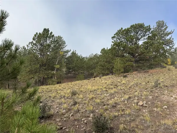 155 Whip, Hartsel, CO 80449