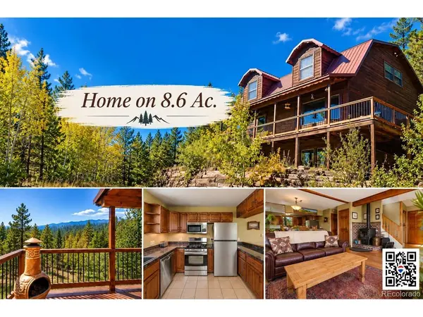 5235 County Road 72, Bailey, CO 80421