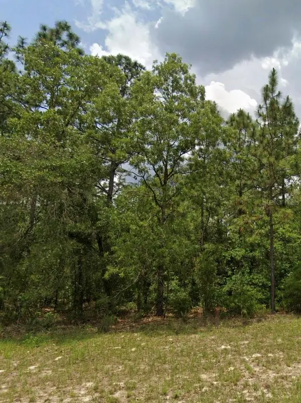 63RD AVENUE, Ocala, FL 34473