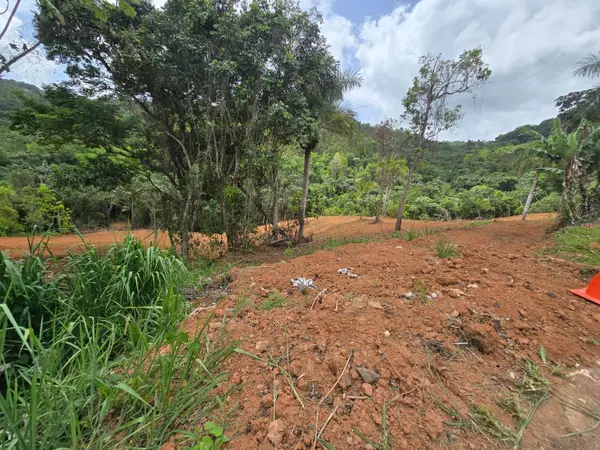 #62 ESTANCIAS LA SIERRA II, Aguas Buenas, PR 00703