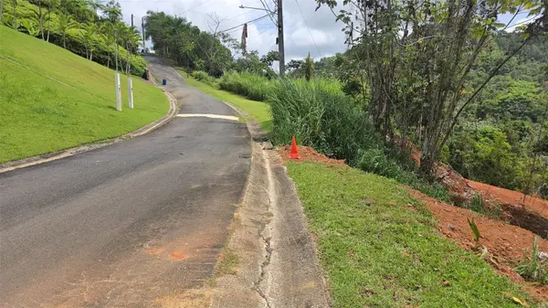 #62 ESTANCIAS LA SIERRA II, Aguas Buenas, PR 00703