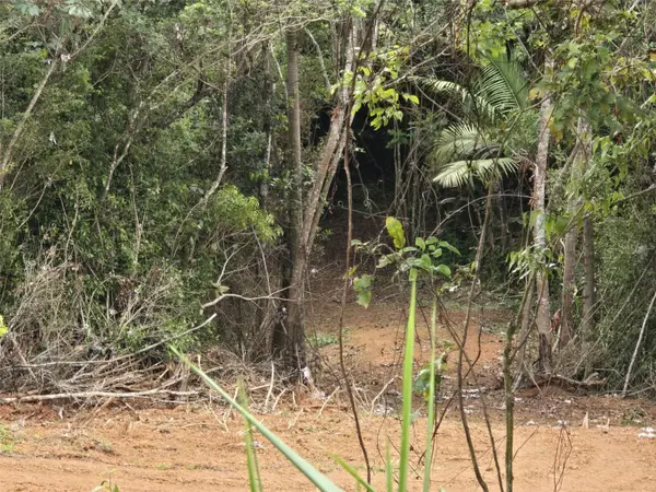 #62 ESTANCIAS LA SIERRA II, Aguas Buenas, PR 00703