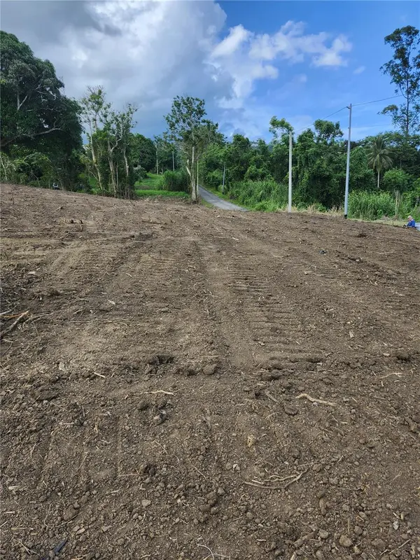 BO. LOMAS, Canovanas, PR 00729