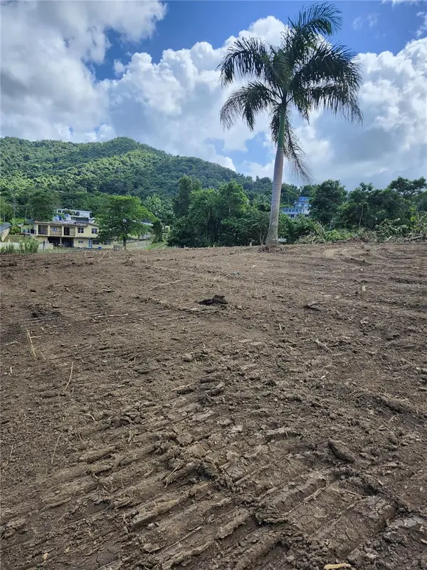 BO. LOMAS, Canovanas, PR 00729