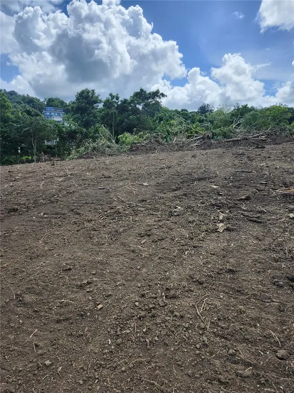 BO. LOMAS, Canovanas, PR 00729