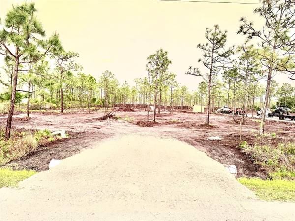 5116 PALANGOS DR, Punta Gorda, FL 33982