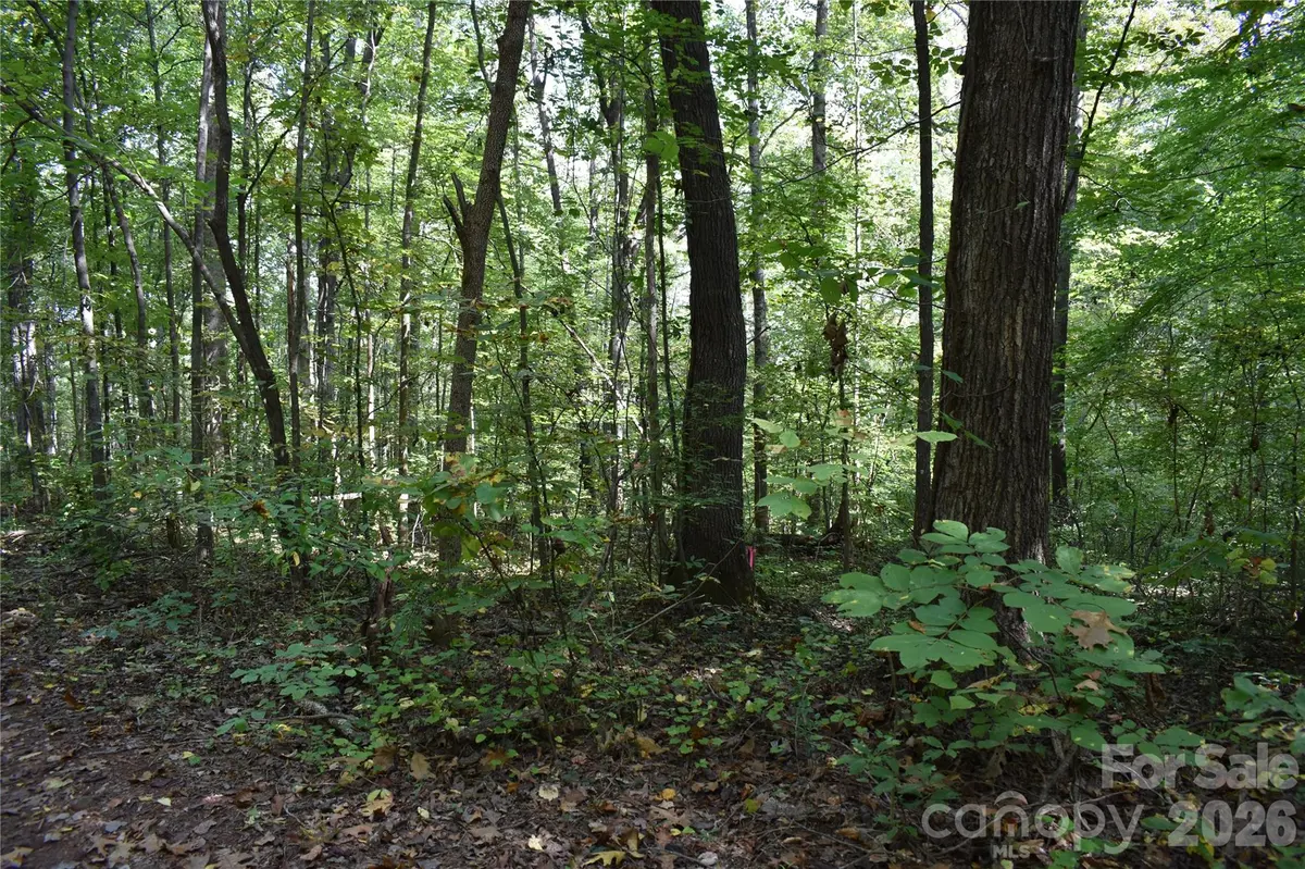 #167 Rolling RD, Lincolnton, NC 28092