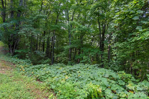 1405 North Haven DR, Black Mountain, NC 28711