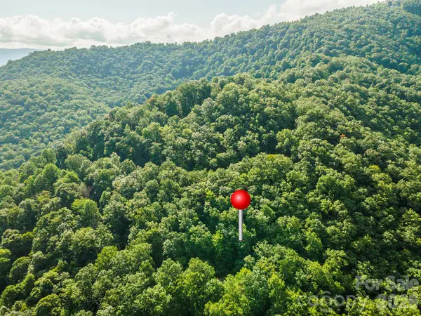 1405 North Haven DR, Black Mountain, NC 28711