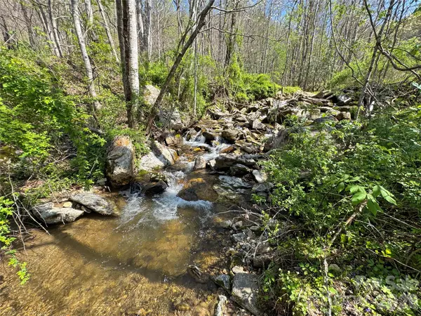 TBD Baltimore Branch RD, Hot Springs, NC 28743