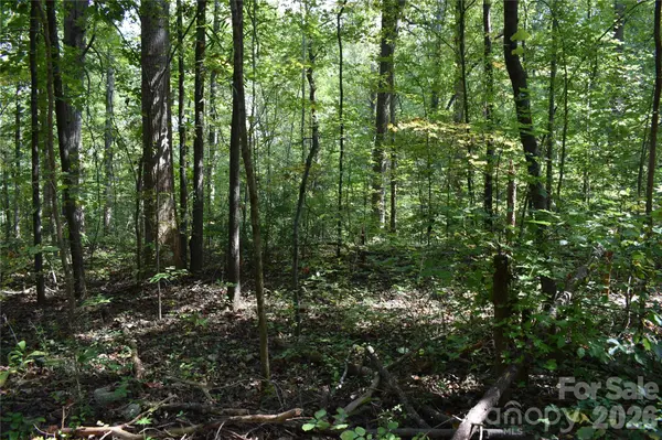 #167 Rolling RD, Lincolnton, NC 28092