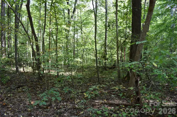 #167 Rolling RD, Lincolnton, NC 28092