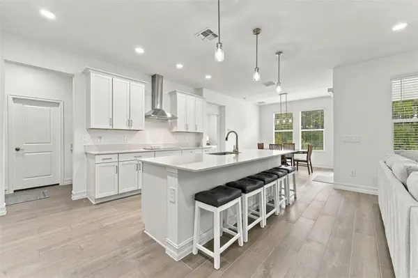 18114 SERENE LAKE LOOP, Lutz, FL 33548