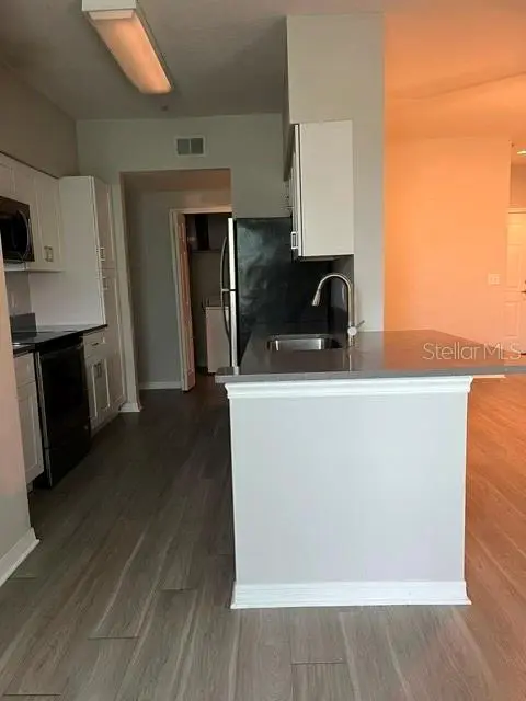 1810 E PALM AVE #4306, Tampa, FL 33605