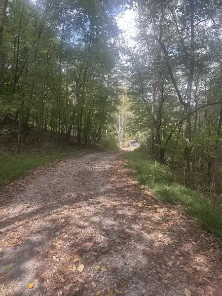 2550 Hurricane Creek Rd, Lawrenceburg, TN 38464