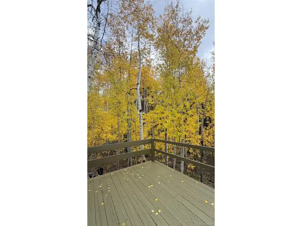 2602 Empire Valley, Leadville, CO 80461