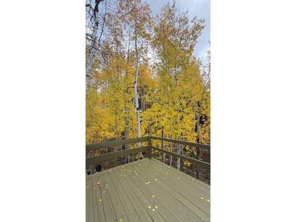 2602 Empire Valley, Leadville, CO 80461