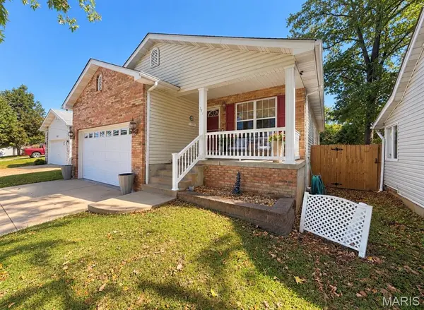 914 Valentine ST, Festus, MO 63028