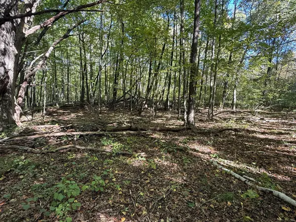 tbd 90th AVE, Amery, WI 54001