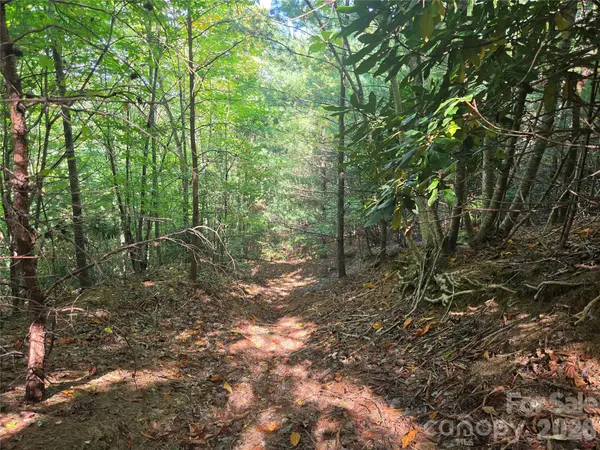 2650 Russell Gap RD, Moravian Falls, NC 28654