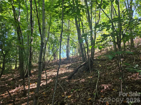 2650 Russell Gap RD, Moravian Falls, NC 28654