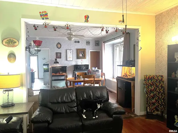 405 W Perrine ST, Johnston City, IL 62951