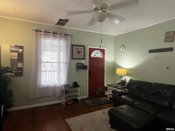 405 W Perrine ST, Johnston City, IL 62951