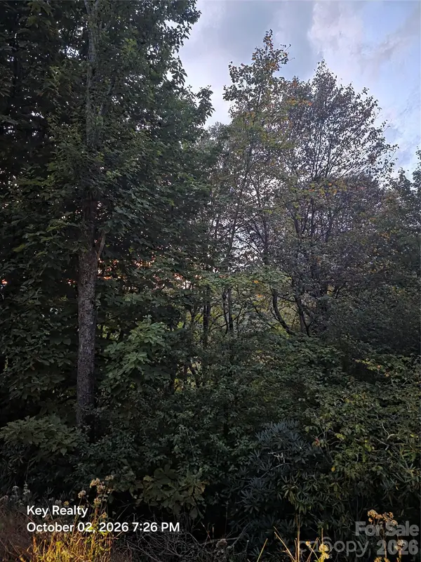0000 Forest LN, Blowing Rock, NC 28605