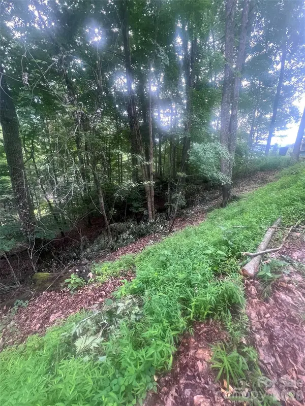 0000 Forest LN, Blowing Rock, NC 28605