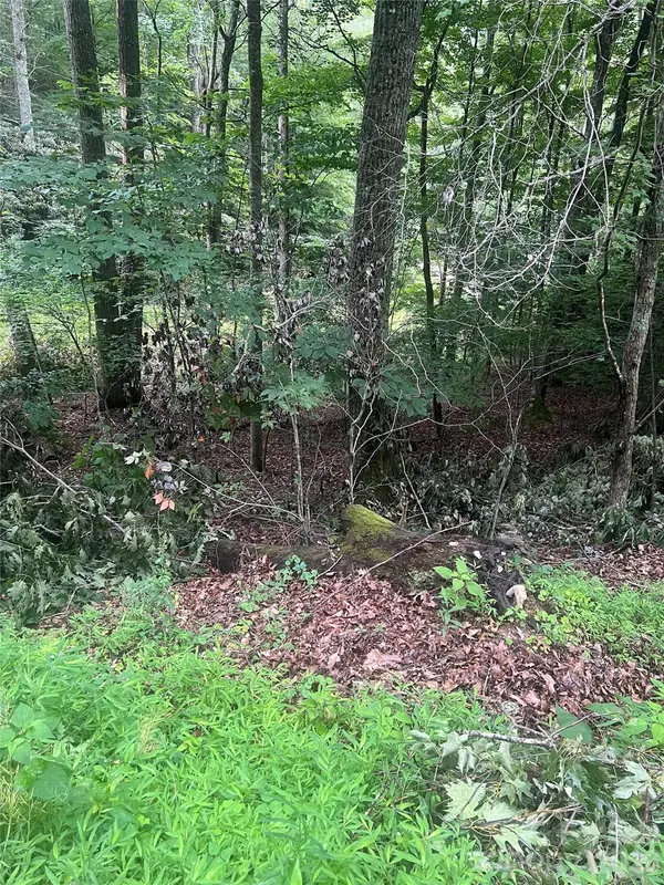 0000 Forest LN, Blowing Rock, NC 28605