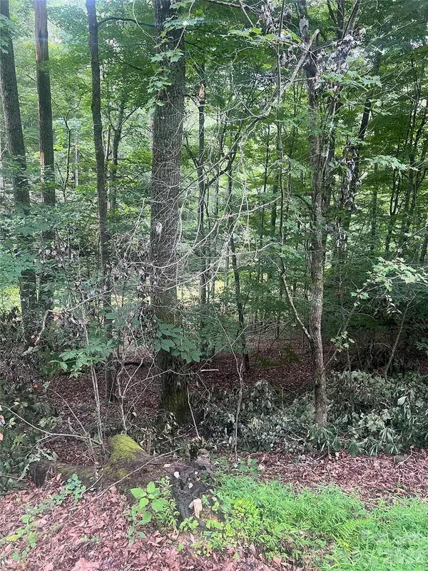 0000 Forest LN, Blowing Rock, NC 28605