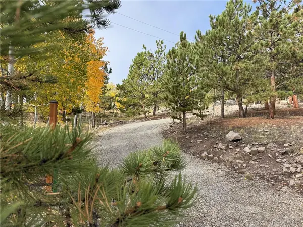 171 Whip, Hartsel, CO 80449
