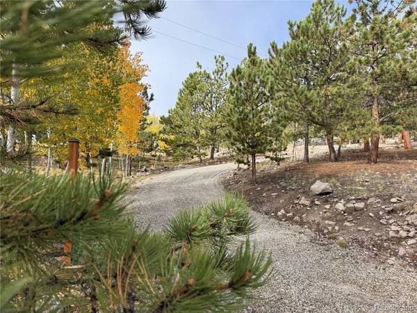 171 Whip, Hartsel, CO 80449