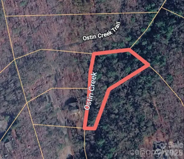 0 Ostin Creek TRL #2, Mill Spring, NC 28756