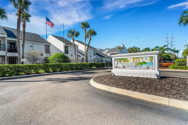 738 HAVEN PL, Tarpon Springs, FL 34689