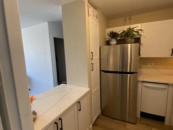 70 W Burton PL #1104, Chicago, IL 60610