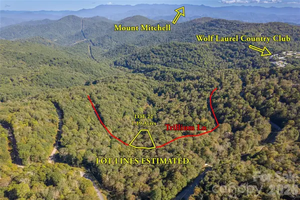 22 Trillium LN #22, Mars Hill, NC 28754