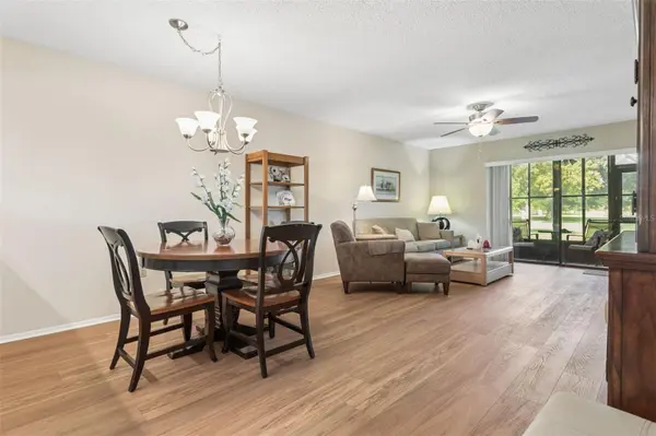 127 NANCY DR #127, Oldsmar, FL 34677