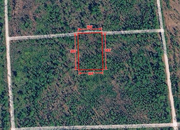 0 GOSHAWK RD, Palatka, FL 32177