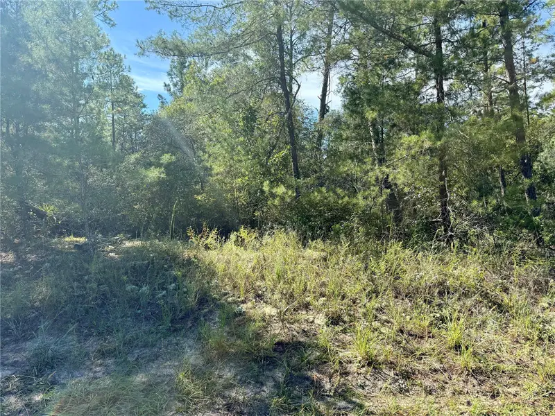 4419 W MALALUKA CIR, Citrus Springs, FL 34433