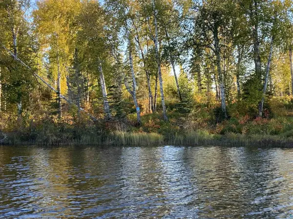 1223 S Bear Lake Rd, Brimson, MN 55602