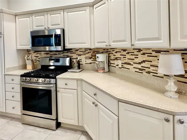 1693 MOUNT CROGHAN TRL, The Villages, FL 32162