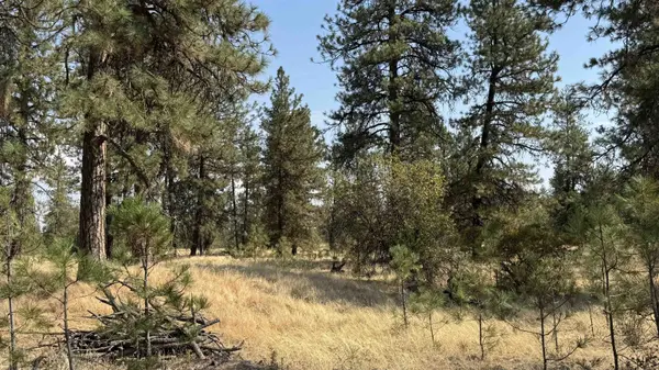 9916 W Newkirk Rd, Spokane, WA 99224